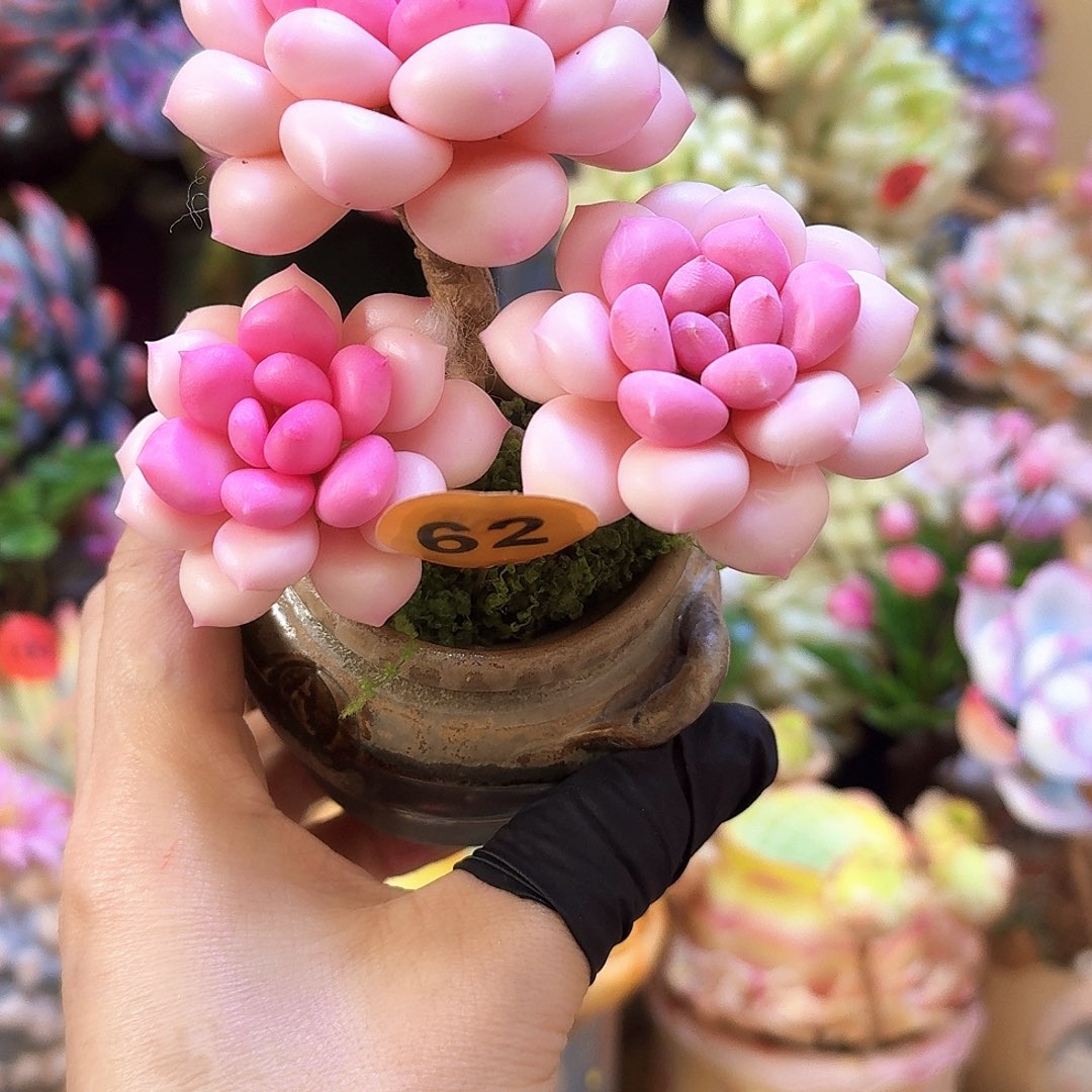 陈*88888888899“k k o