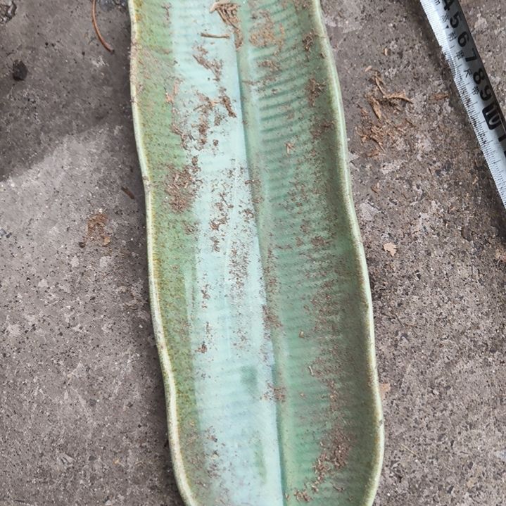 瓷片磁州窑五厂盘碗壶杯