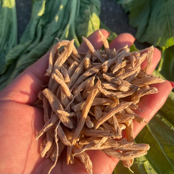 麦咚。云南大山里的青菜