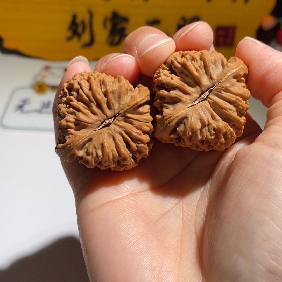 阿***军大叶紫檀（黑酸枝木类）