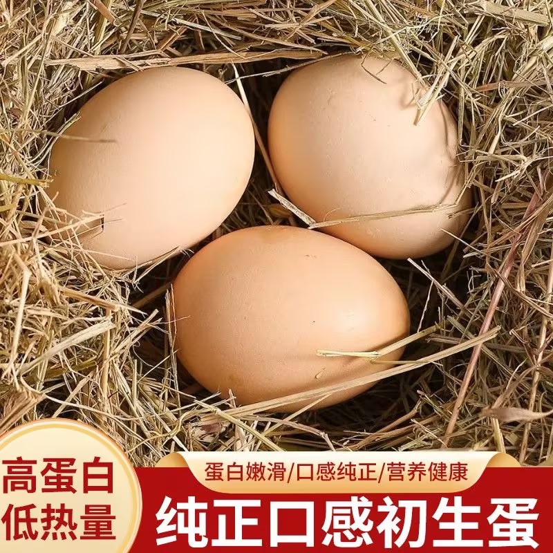 【高营养初生蛋】新鲜鸡蛋农家正宗谷物玉米喂养农家五谷散养土