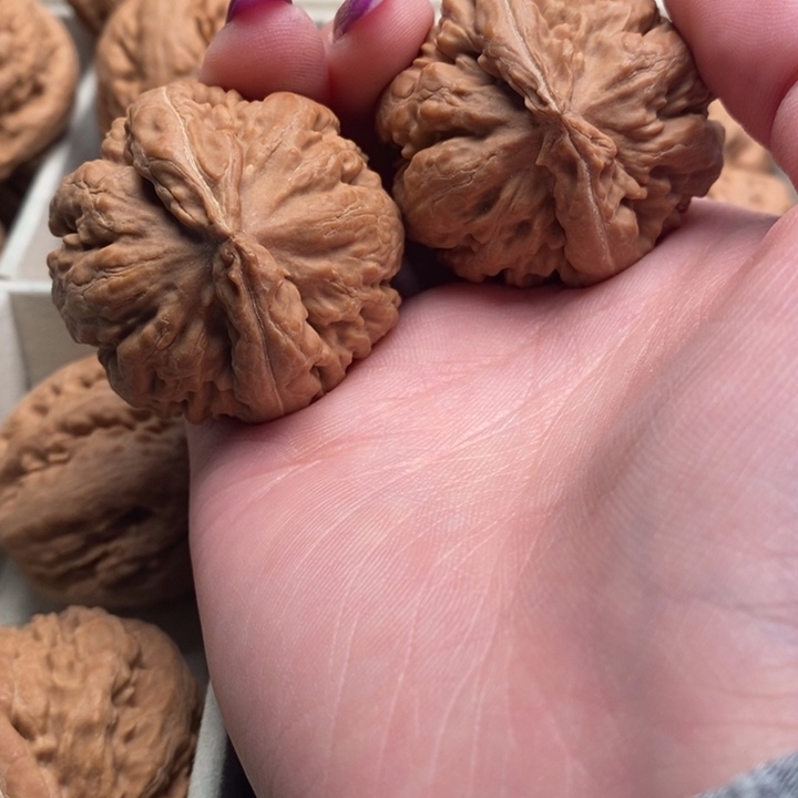 河***窗文玩核桃手串霸王龙