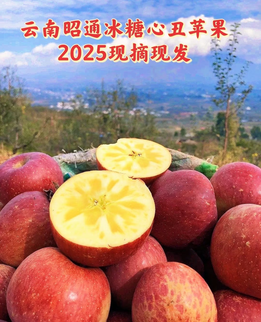 昭通红富士冰糖心丑苹果现摘现发脆甜多汁新鲜水果