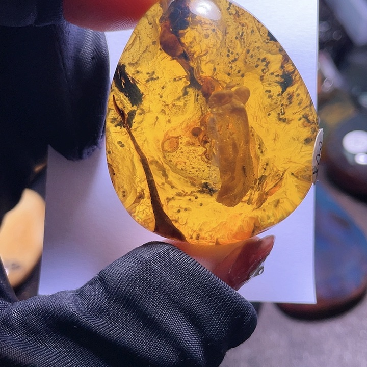 琥珀裸石未镶嵌。。