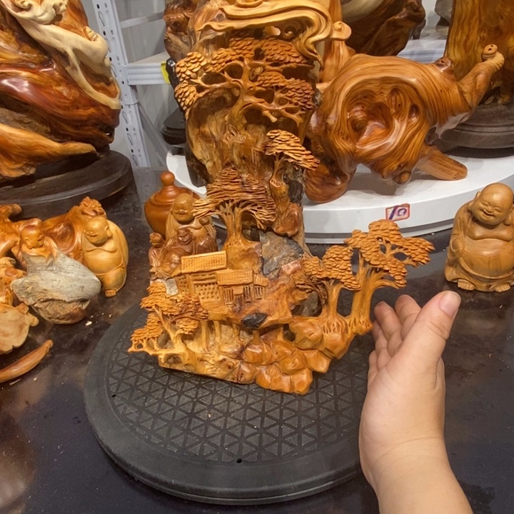 柏木（崖柏）崖柏111111111111