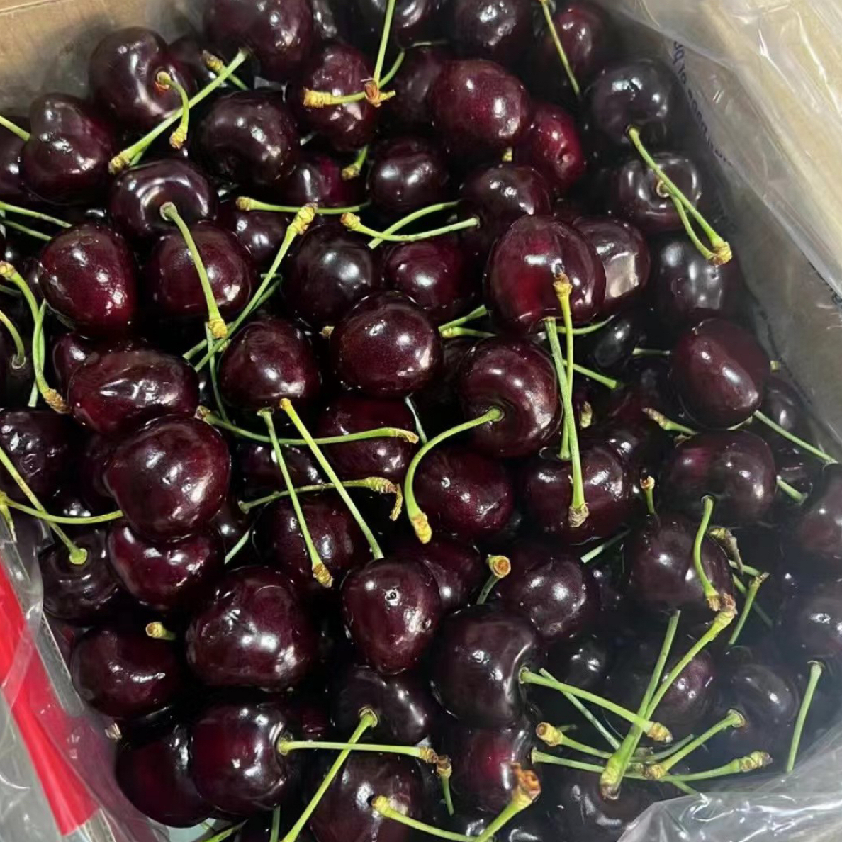 【骑手配送到家】海运大吉制桑提娜单J车厘子黑车箱5斤智利