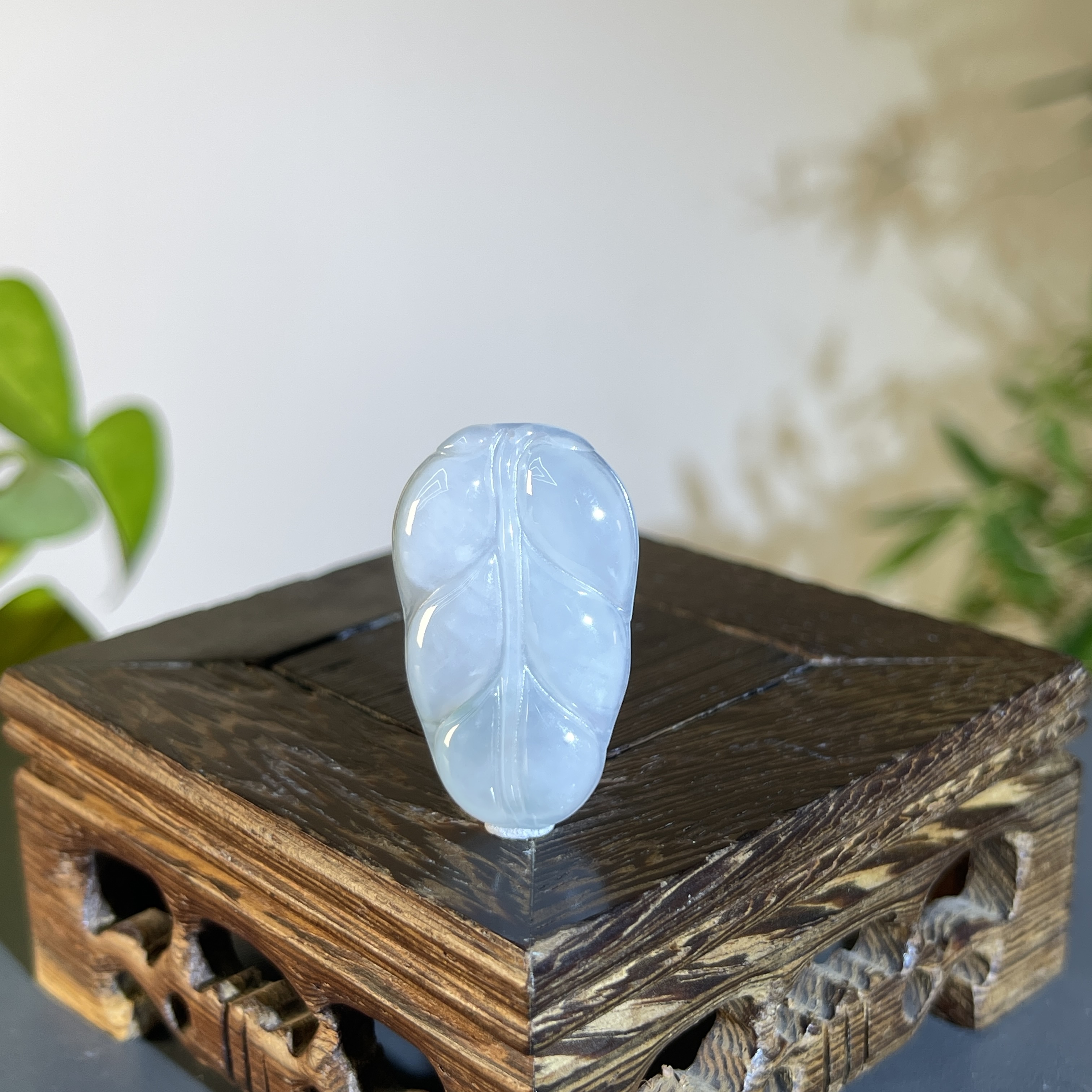 JXA01-164  天然翡翠缅甸A货   金枝玉叶