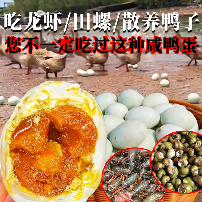  山东微山湖龙虾红心麻鸭蛋