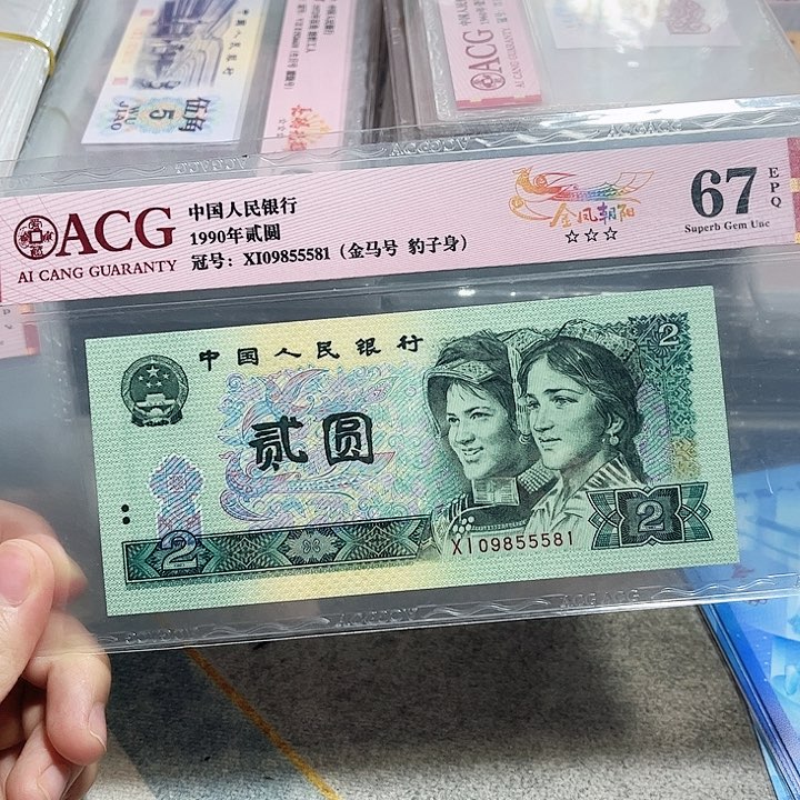 09855581。。。。。金马号 豹子身