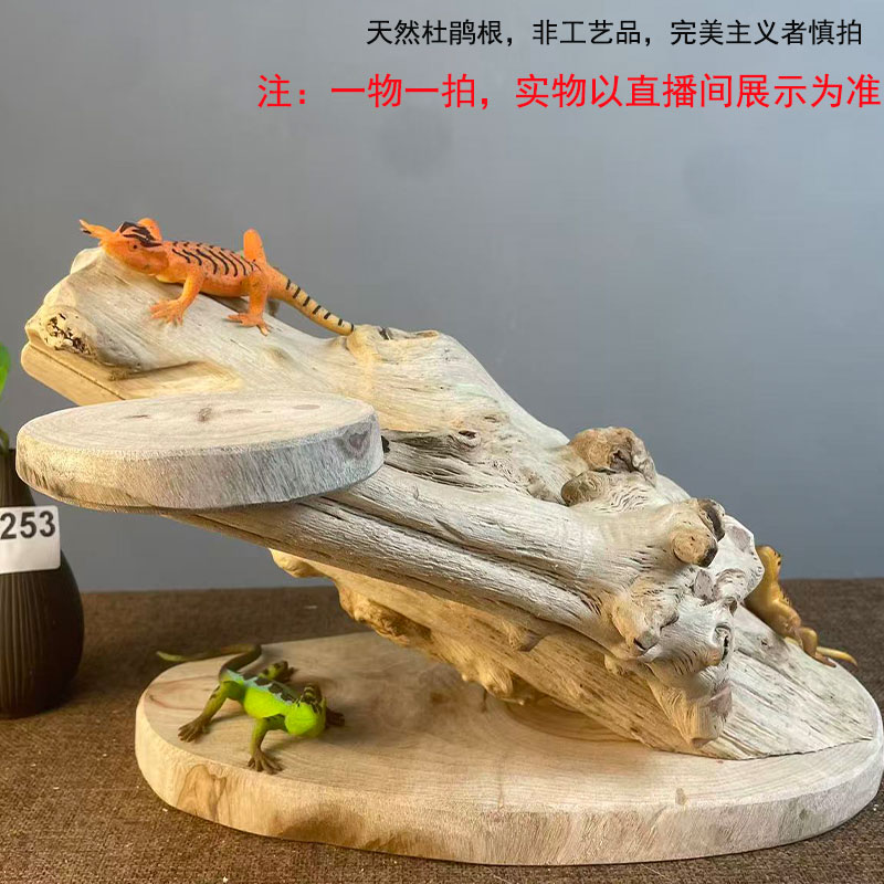 一物一拍守宫蜥蜴爬宠实木攀爬架晒台角蛙雨林箱造景躲避爬宠用品