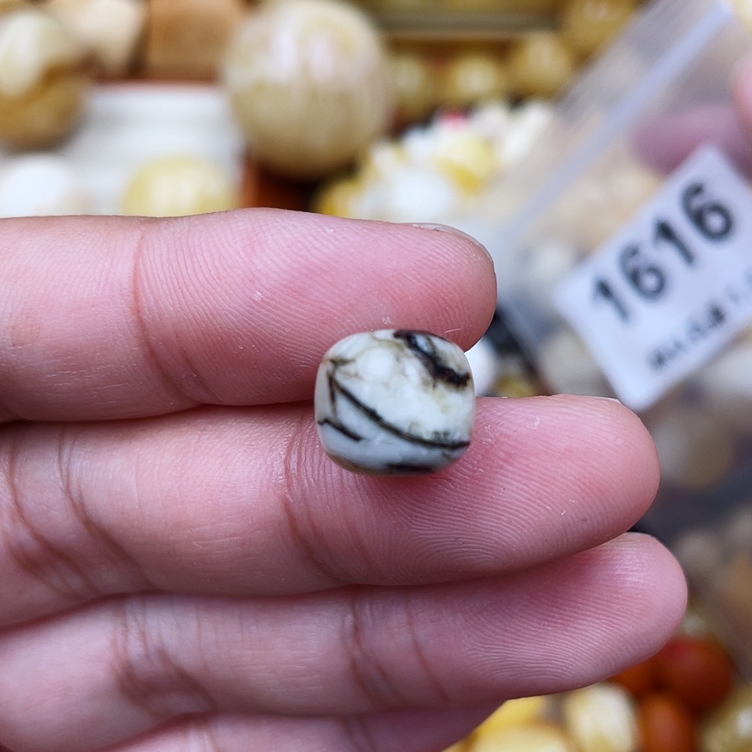 未镶嵌蜜蜡珠宝奇石11.6