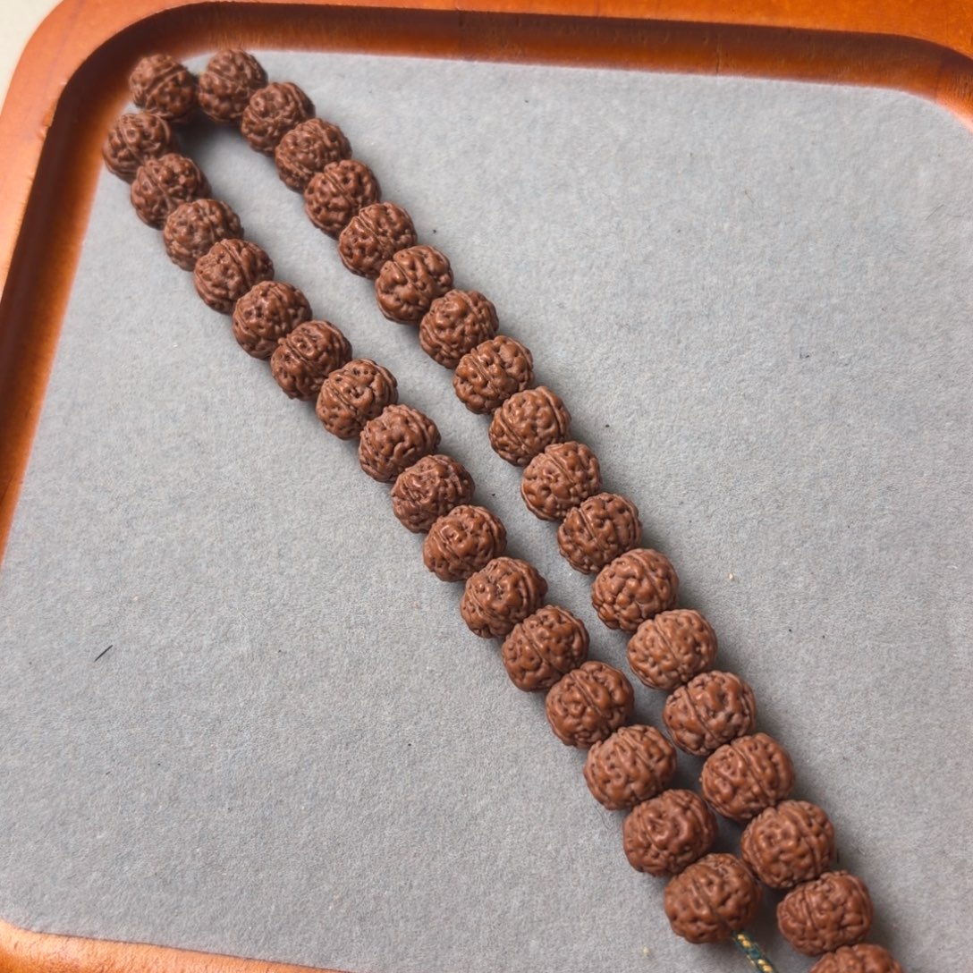 吊坠金刚菩提老树王手持 10 尺寸