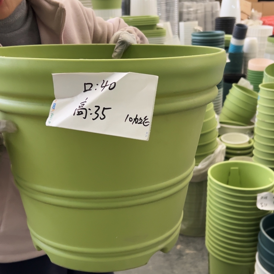 仿陶罗马小号果绿色3个无托