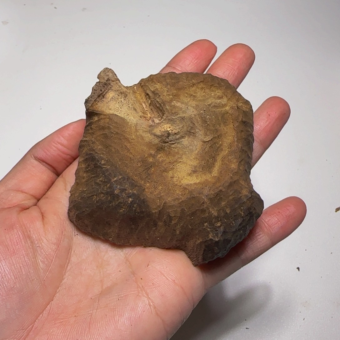 沉香摆件吉*沉香奇楠天然老香31克