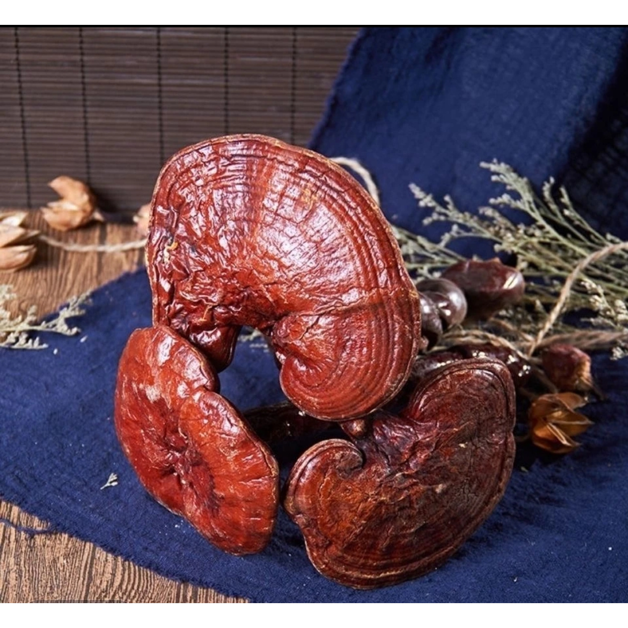 新农人青青--红灵芝