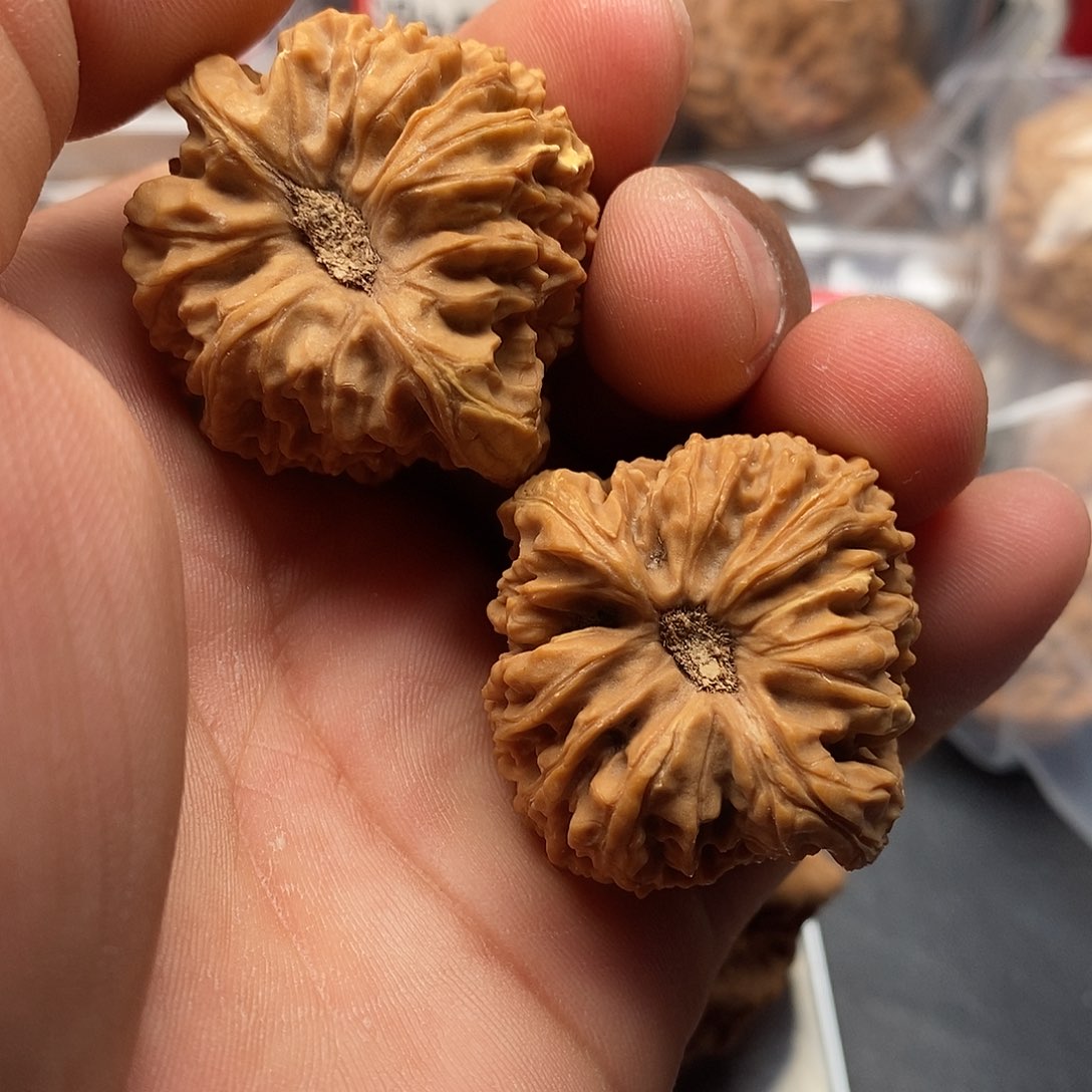 文玩核桃把件2**?南疆