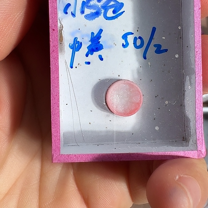 小***爸蟋蟀11111111111111111