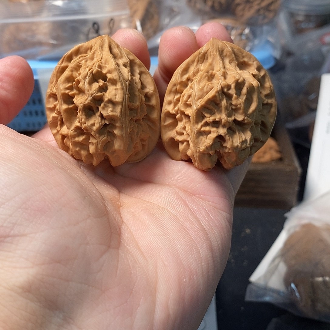 1文玩核桃承德粗筋马蹄40-311