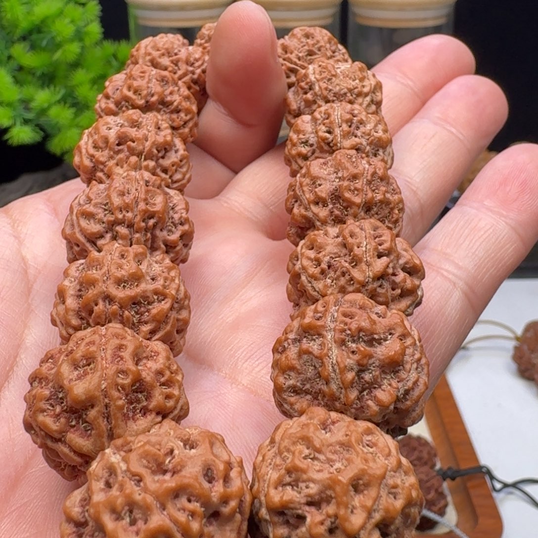 金刚菩提手串五星蜂王籽