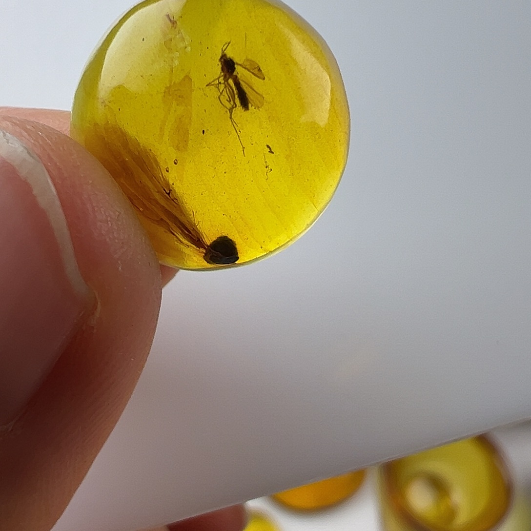 琥珀裸石未镶嵌琥珀虫珀