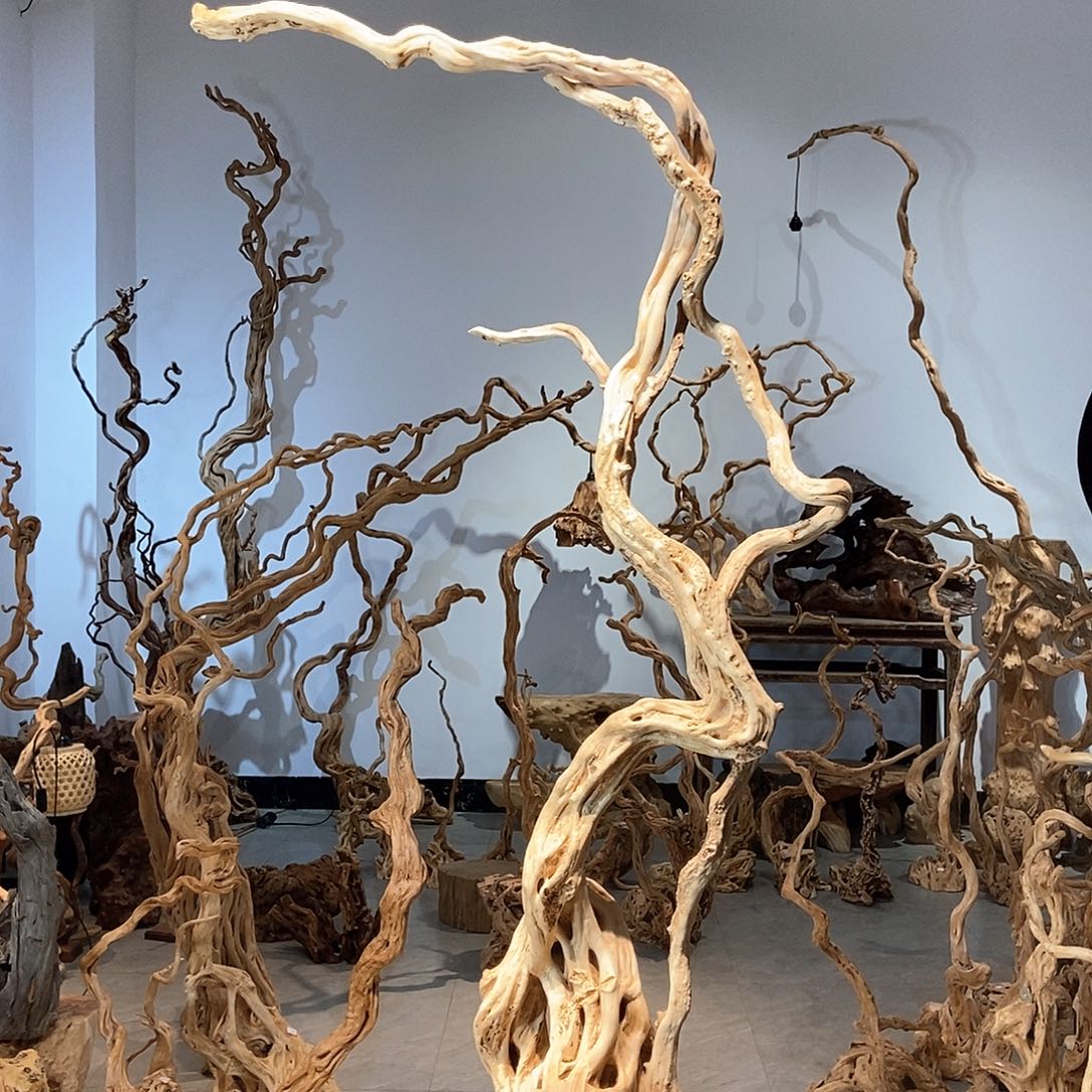 大果紫檀（缅甸花梨）诗***华