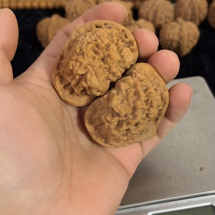 文玩核桃把件50左右夹板官帽，微微瑕，编号021