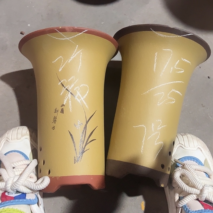 7号…………………………………………