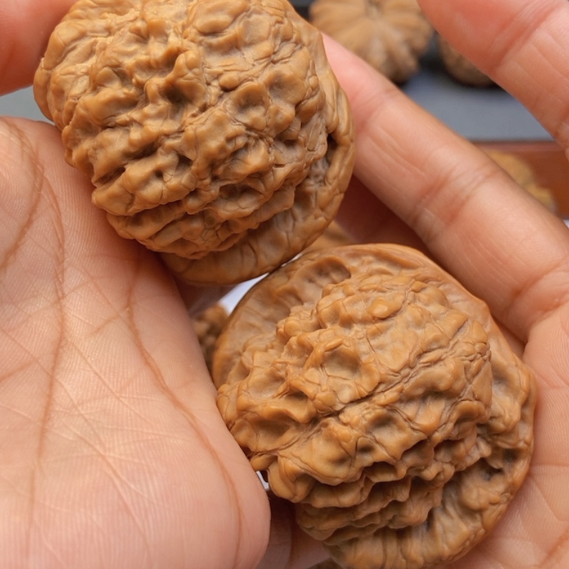 【闪购商品】文玩核桃把件51龙鼎全品