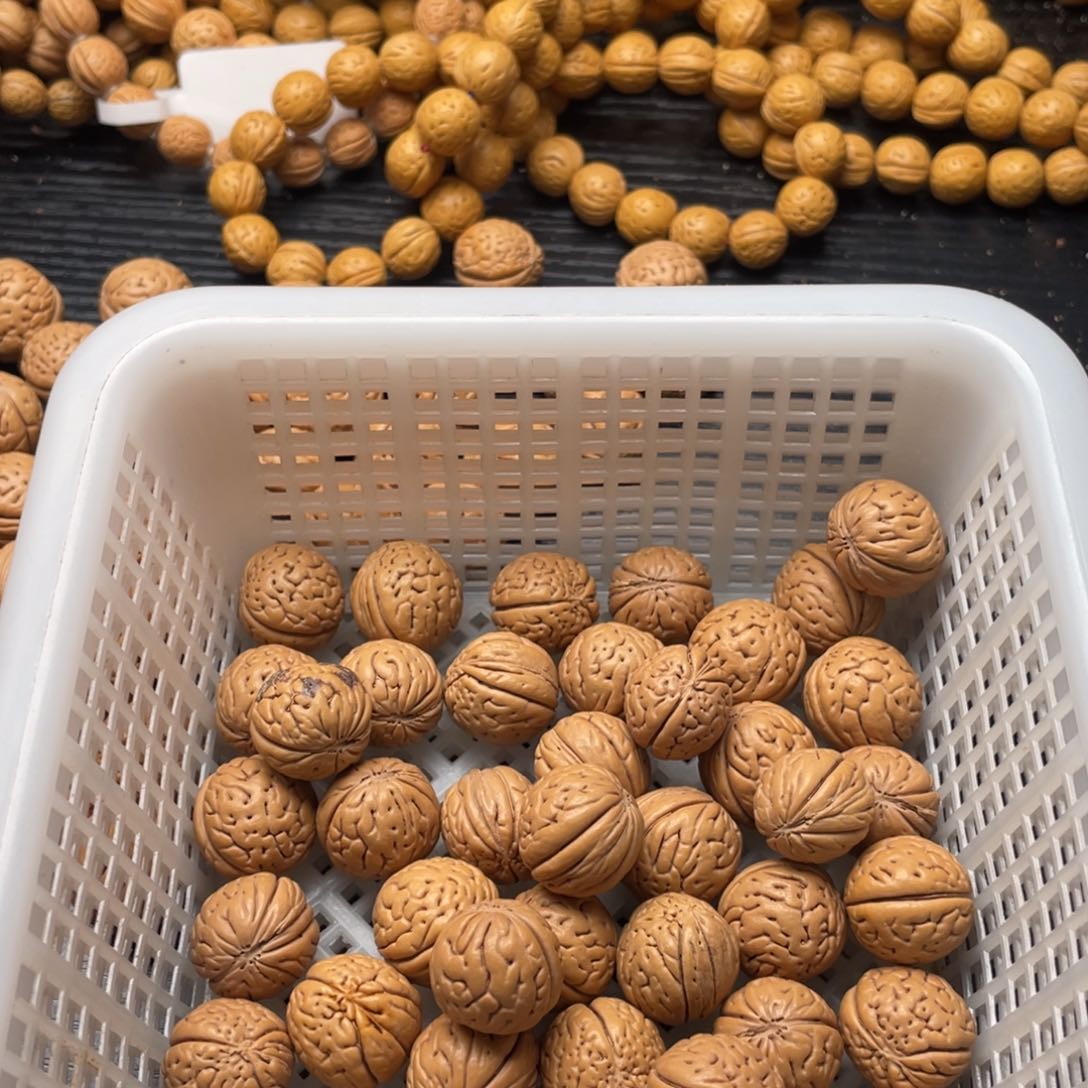 【闪购商品】姜***班散子发货40米