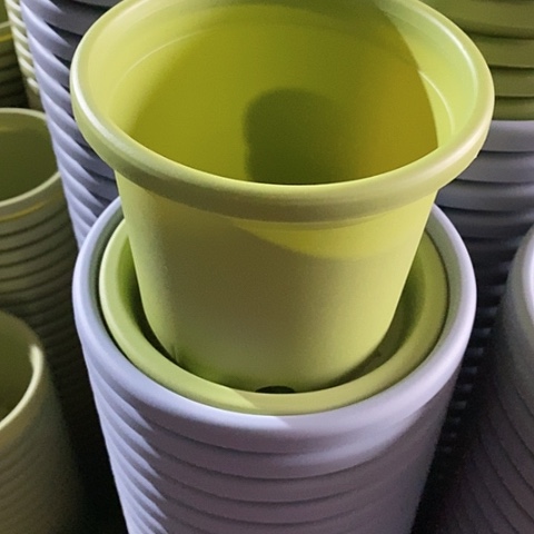 树脂14口径果绿带托10套