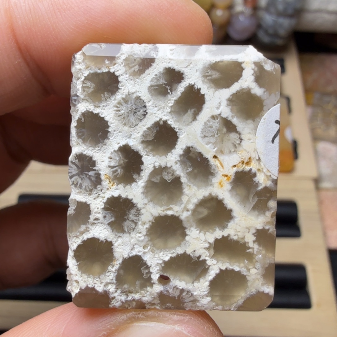 硅化玉未镶嵌纯天然色有机玉石保真色豹纹瑕疵特价不退换