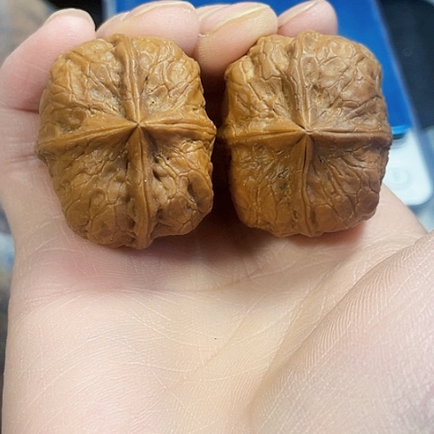 文玩核桃把件血麒麟磕尖带彩37