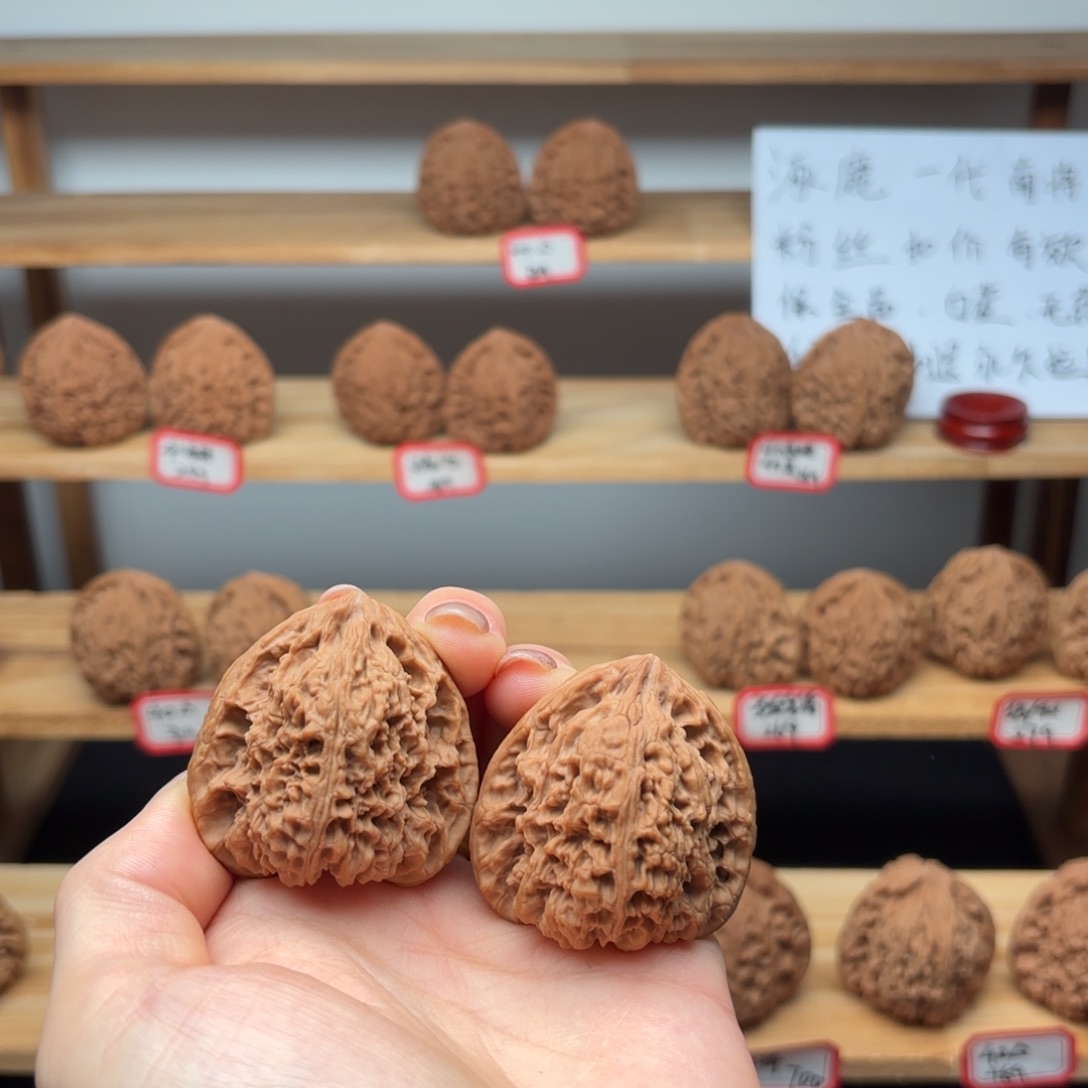 镇***儿核桃涿鹿一代南疆41