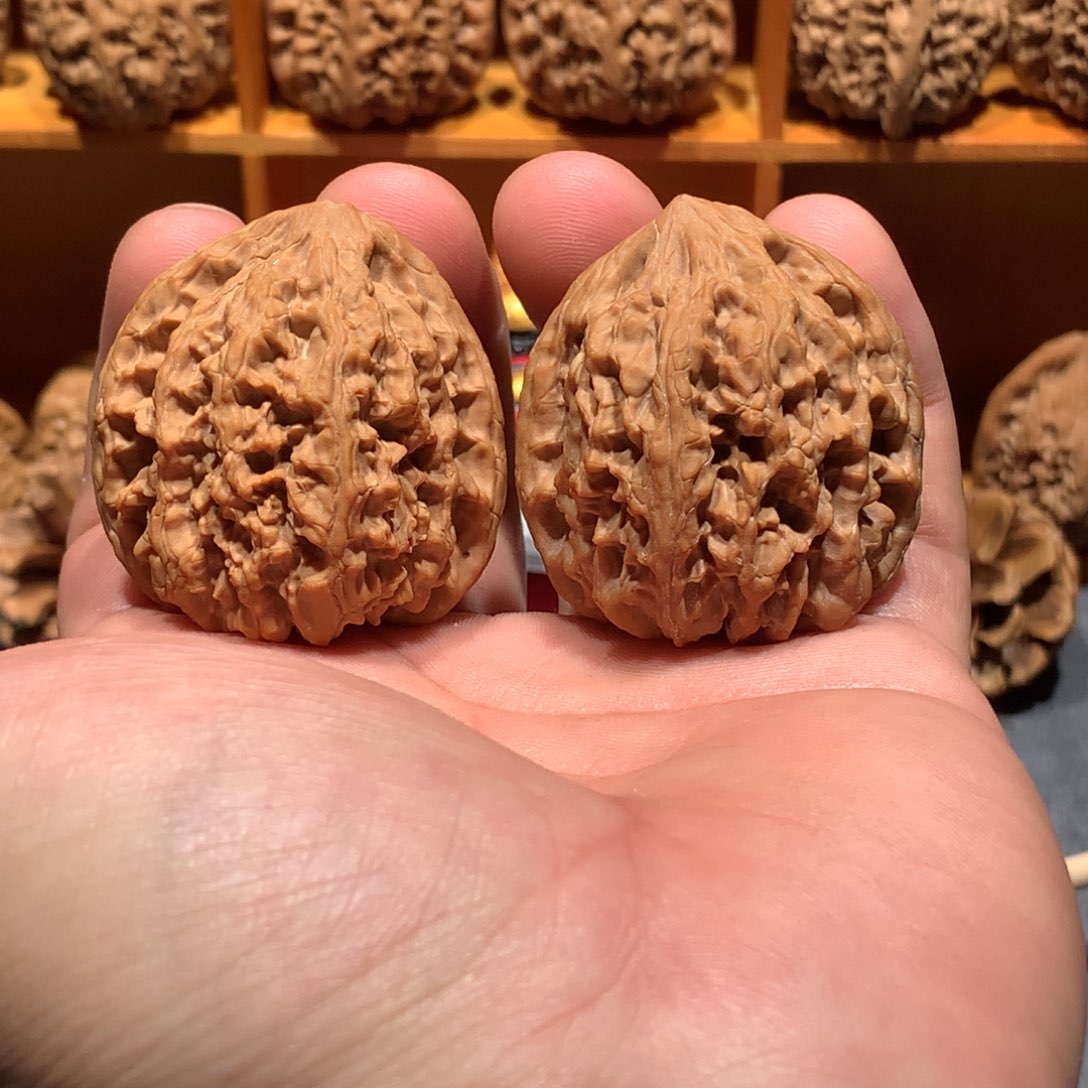 41尺野牛易县窝底狮子头