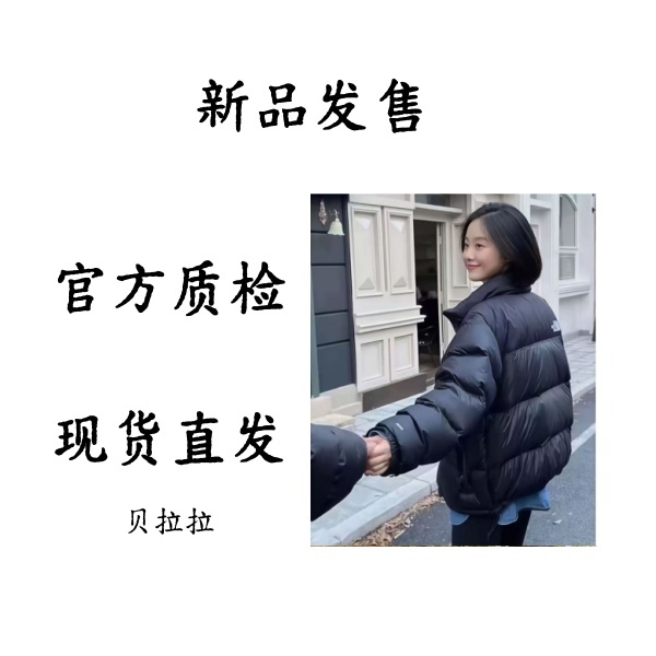 96立领美版情侣羽绒服 隐藏帽