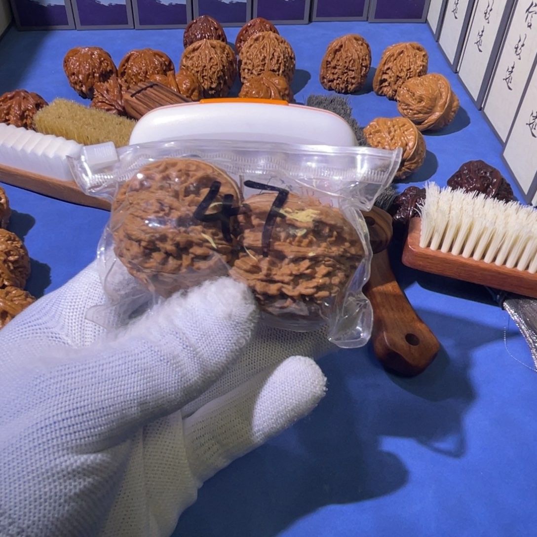 龙脊菩提吊坠核桃