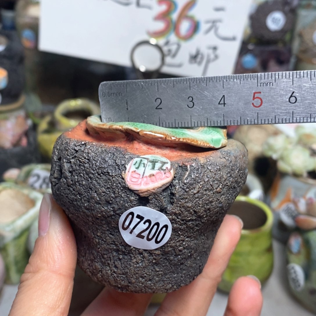 花盆拍3送一个小礼物