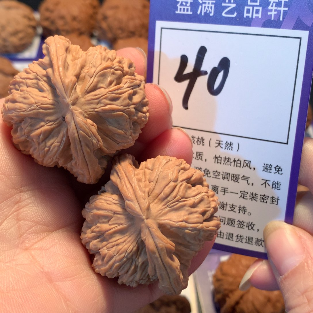 核桃40白狮子4.2全品