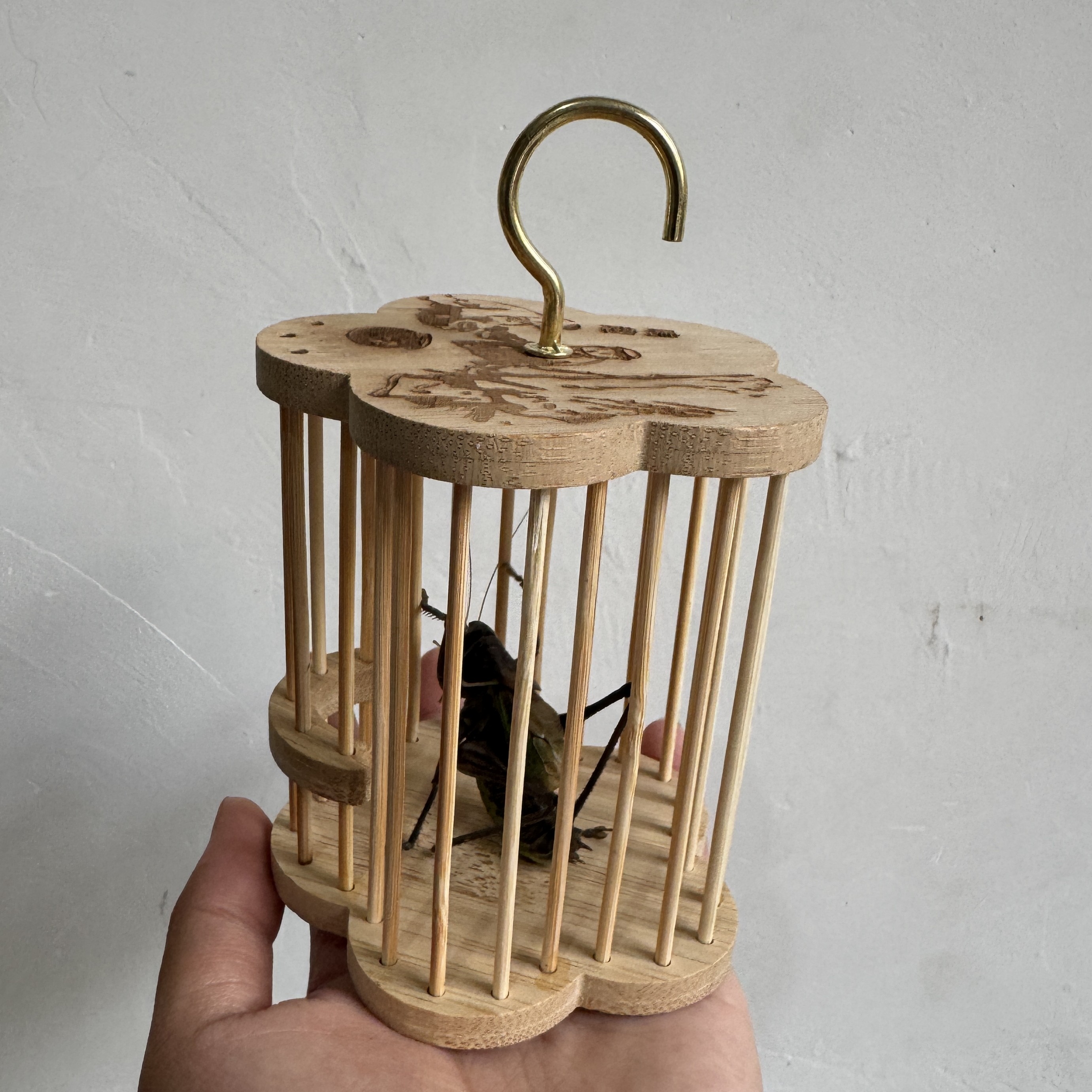 铁皮蝈蝈➕花瓣形笼子（顺丰包邮 偏远地区不包）