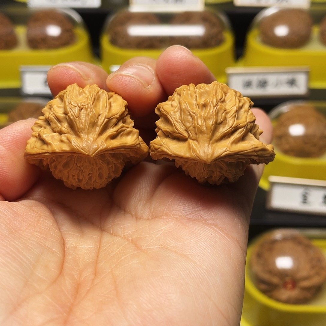 木质宫灯蛇手捻33尺寸7899