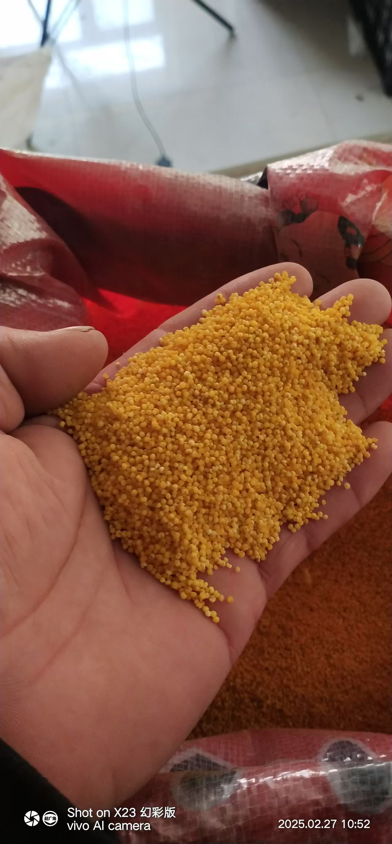 高林村农家精品小米