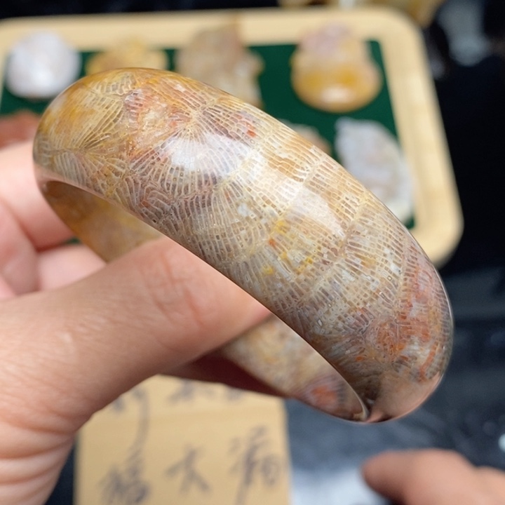 硅化珊瑚（珊瑚玉）手镯未镶嵌53:6
