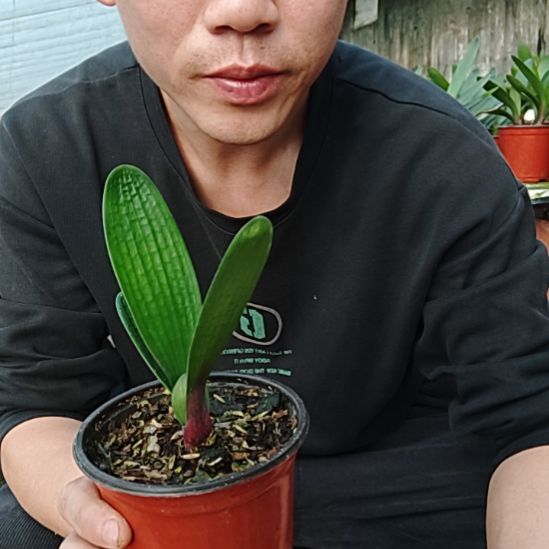 【闪购商品】完全开放