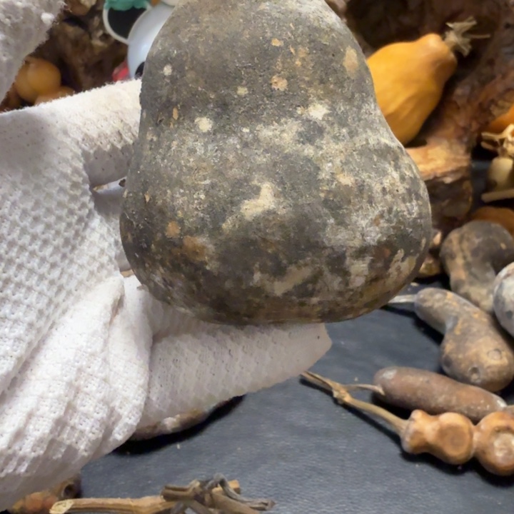 友****666676666777777788