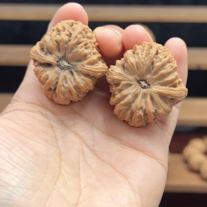 章***曦涿鹿南京石文玩核桃