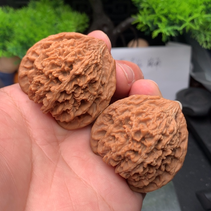 吊坠文玩核桃45尺满天星