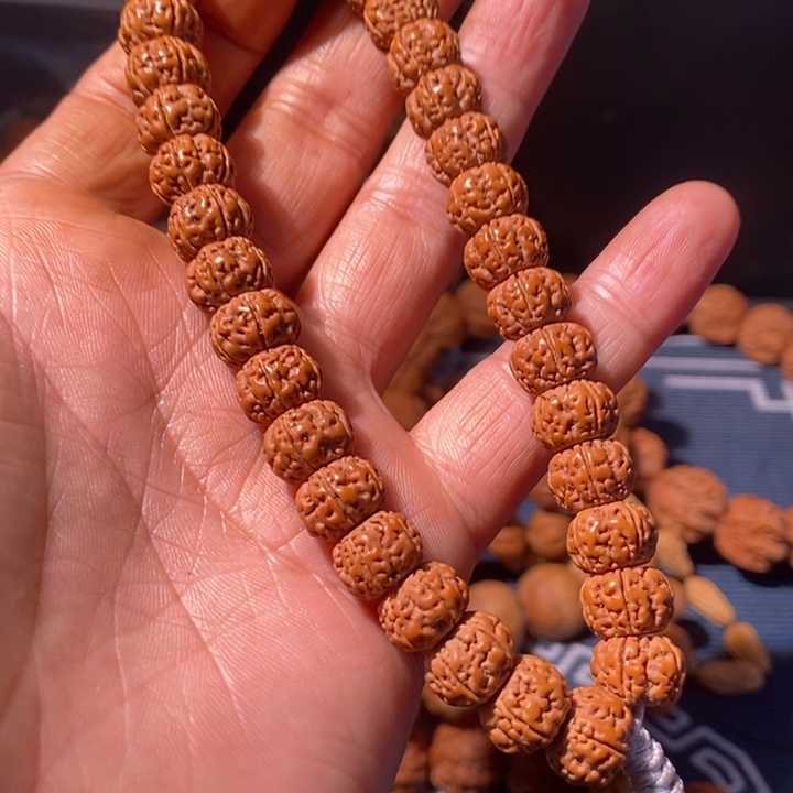 手串金刚菩提炜*…………