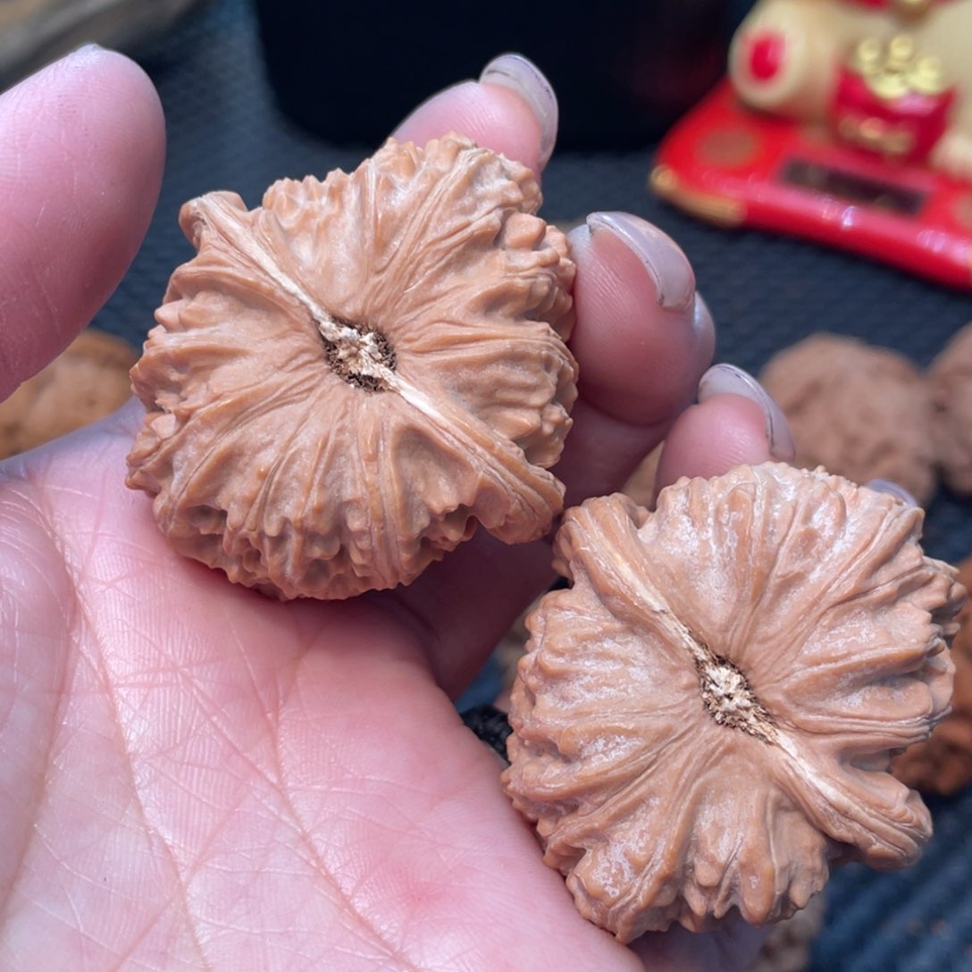 文玩核桃把件白狮子4.0全品