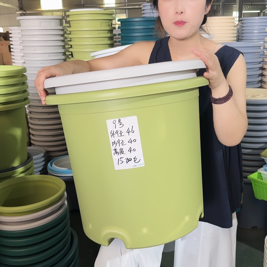 微瑕9#口径46无拖果绿3个