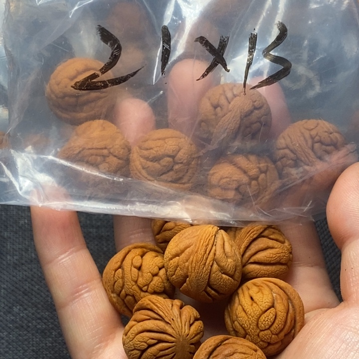 桃核吊坠秦岭山野生桃核